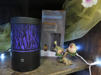 Serene Living Willow Forest Essential Oil Diffuser from Carter's Flower Shop in Farmville, VA