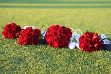 Bride and BM's Red Rose Bouquets  from Carter's Flower Shop in Farmville, VA