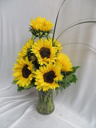 Garden of Sunflowers from Carter's Flower Shop in Farmville, VA