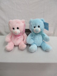 Pink and Blue Baby Bears from Carter's Flower Shop in Farmville, VA