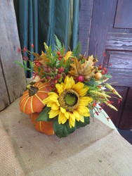 Fall Silk 5 from Carter's Flower Shop in Farmville, VA