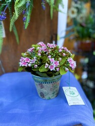 Spring Silk 10 from Carter's Flower Shop in Farmville, VA