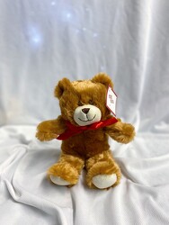 Small Tan Plush Bear from Carter's Flower Shop in Farmville, VA