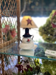 Little Plop Snowman  from Carter's Flower Shop in Farmville, VA