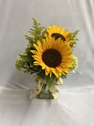 Sunny Day  from Carter's Flower Shop in Farmville, VA