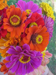 Designer Choice from Carter's Flower Shop in Farmville, VA