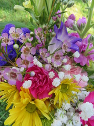 Designer Choice Birthday from Carter's Flower Shop in Farmville, VA